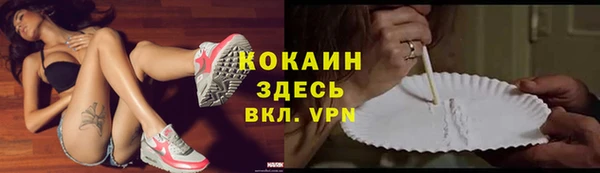 стаф Балахна