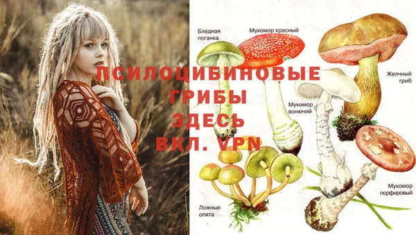 скорость Баксан