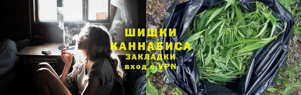 стаф Балахна