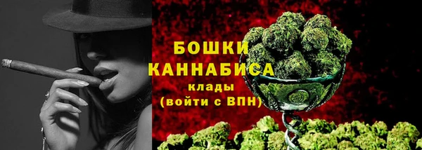 метадон Белокуриха