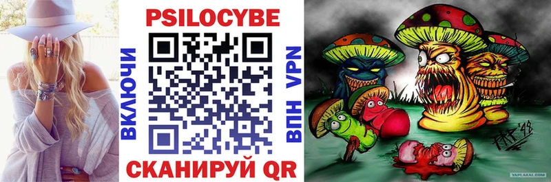Галлюциногенные грибы Psilocybine cubensis Сегежа