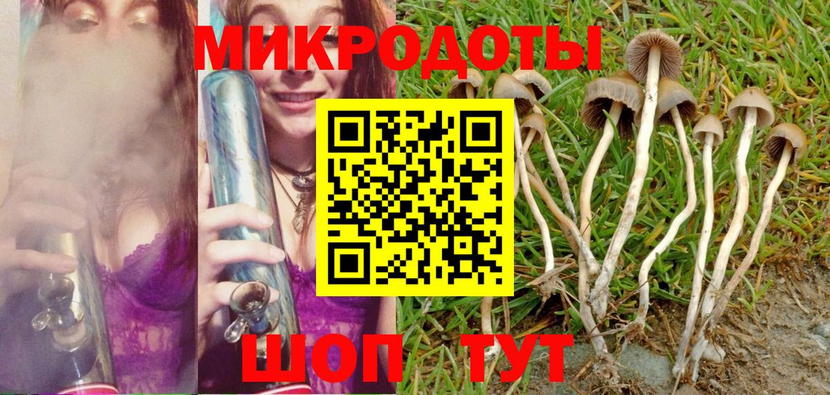 Псилоцибиновые грибы мицелий  где можно купить наркотик  Сегежа  Псилоцибиновые грибы GOLDEN TEACHER  Вход с VPN 