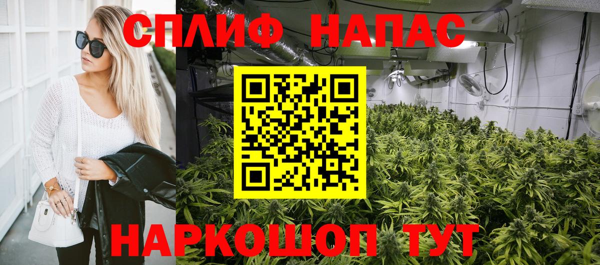 МАРИХУАНА план Сегежа